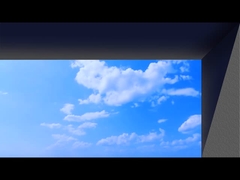 आँख-नग्न 3डी विज्ञापन एलईडी डिस्प्ले स्क्रीन