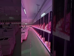 एलईडी पारदर्शी ग्रिड स्क्रीन किराया घटनाक्रम ग्लास पर्दे डिस्प्ले विंडो पी3.91 से पी7 तक82